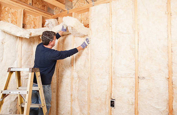 Best Blown-In Insulation  in Bazon, CA